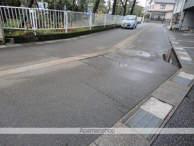 デイジーの周辺写真