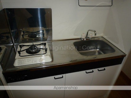 カーペンターハウスⅥ[1K/26.91m2]のキッチン