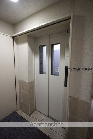ルピナスのその他写真