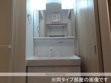 プチ　ボヌール[2LDK/61.88m2]の洗面所