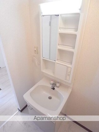 フレグランス平山Ｂ[2K/43m2]の洗面所