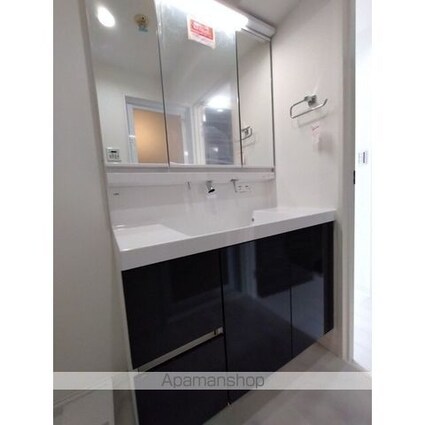 ライオンズマンション日本橋[2DK/47.79m2]の洗面所