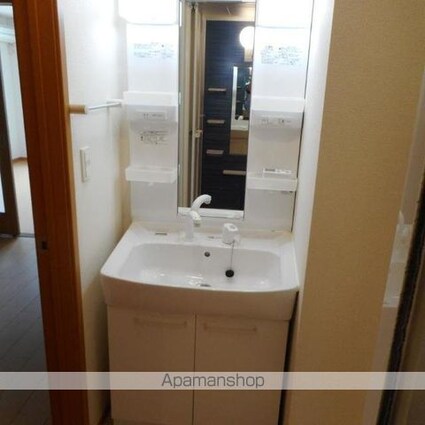 ダンデ　ライオン[2DK/46.79m2]の洗面所