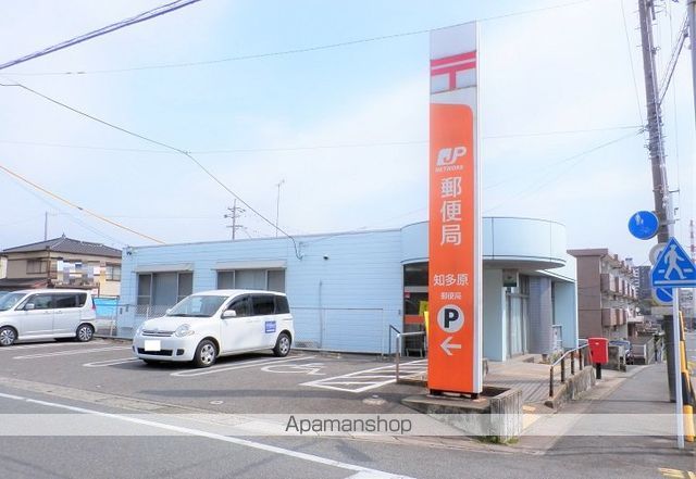 グレイス・コート樹木の周辺写真