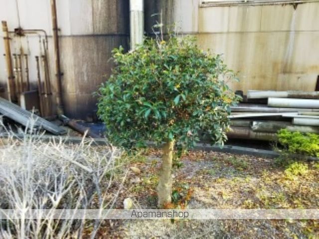 レオパレス甘木川の内装写真