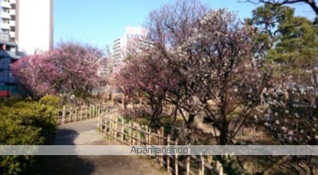 ネオアイリス大森の周辺写真