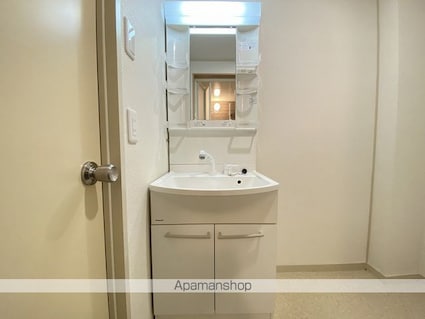 パセオ大宮[3LDK/68.82m2]の洗面所