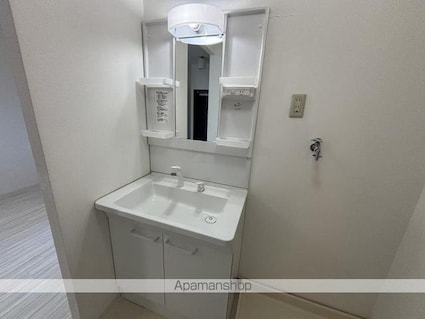 フォブール柳生[2DK/41.25m2]の洗面所