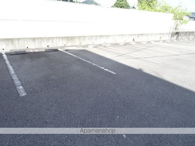ドルフィンのその他写真