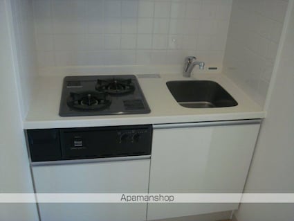 ランドステージ両国[1K/29.43m2]のキッチン