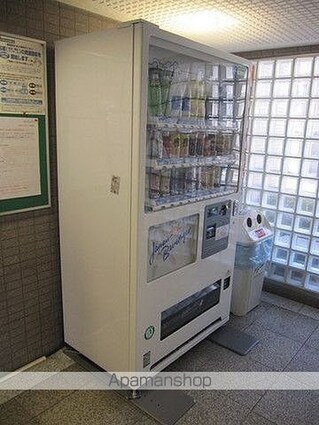 ビクセル武蔵関[1R/17.85m2]の共用部2