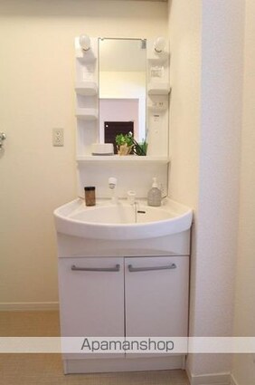 パインテイル　Ａ・Ｂ・Ｃ・Ｄ棟[2LDK/58.54m2]の洗面所