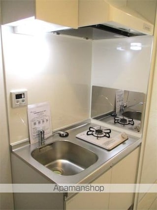 フェリーチェ桜上水Ａ[1K/17.42m2]のキッチン