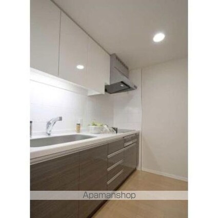 ＴＨＥ　ＴＯＫＹＯ　ＴＯＷＥＲＳ　ＭＩＤＴＯＷＥＲ[1LDK/53.81m2]のキッチン