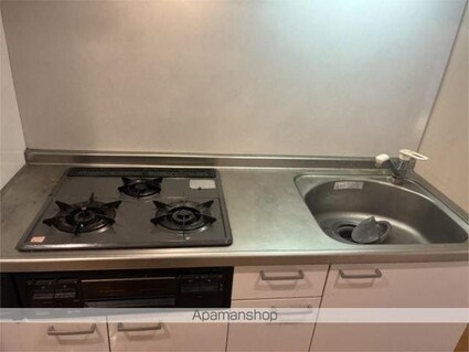 メゾン　コルニス[1K/29.56m2]のその他内装