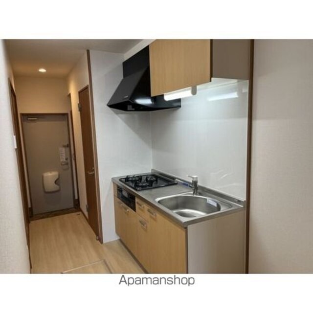 Ｌｕａｎａ白板[1K/34.21m2]のキッチン