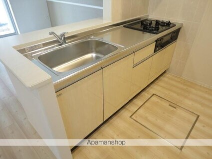 コーラルヴィラ出島Ａ[1LDK/45.82m2]のキッチン