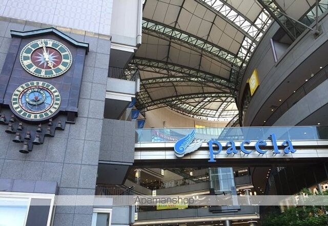 グリーンハウス河原町[1DK/25m2]の周辺11