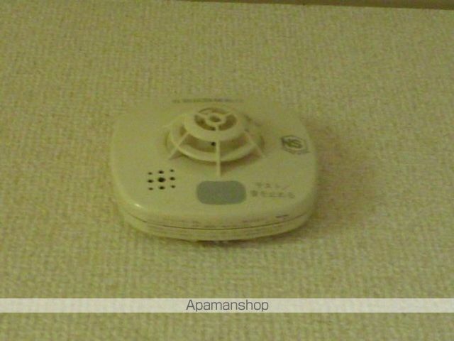 サンライン IIIの内装写真