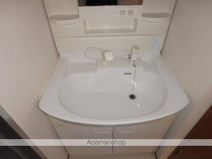 シティハイムナガタⅡ[2LDK/47.79m2]の洗面所