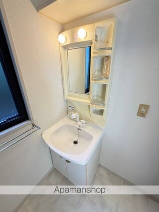 熊本県宇城市松橋町内田[2DK/43.75m2]の洗面所