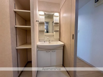 愛知県半田市泉町[3DK/60.13m2]の洗面所