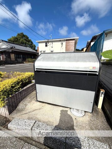 プリムローズのその他写真