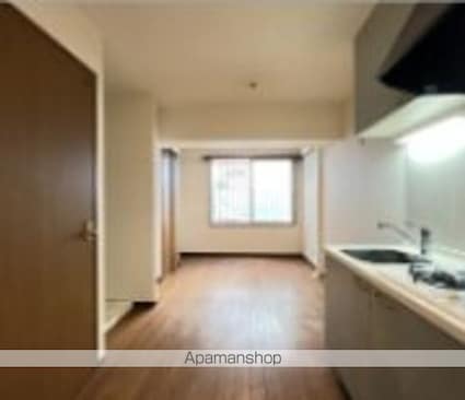 ダイヤモンドレジデンス仲御徒町[1R/19m2]のリビング・居間2