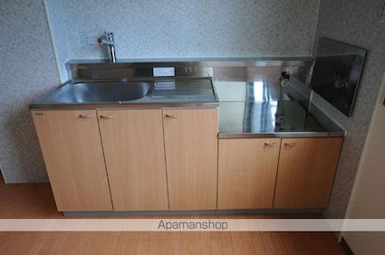 ロイヤルガーデン白狐Ｄ棟[2DK/47.91m2]のキッチン