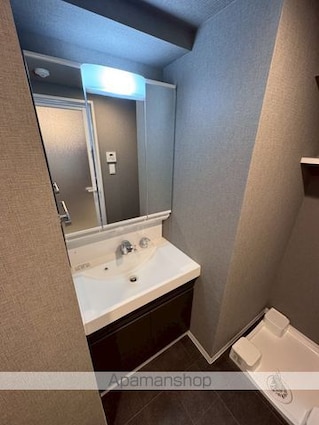 ＳーＲＥＳＩＤＥＮＣＥ板橋大山ｂｒｉｍ[2LDK/50.65m2]の洗面所