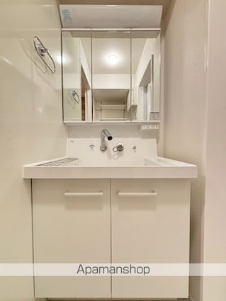 Ｄフラット台町[2LDK/49.39m2]の洗面所