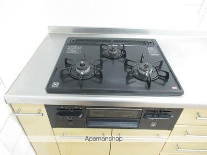 スカイグランデ京成小岩[1LDK/44.28m2]の内装3