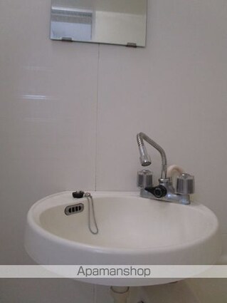 プリンスハイツ柏木[1K/17.62m2]の洗面所