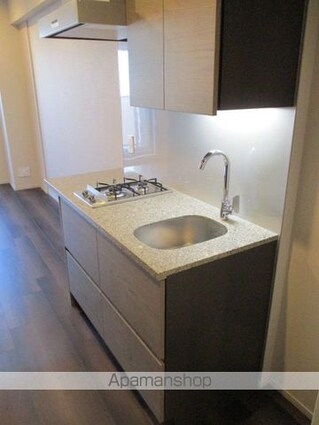 ザ・パークハビオ高円寺レジデンス[1R/25.3m2]のキッチン