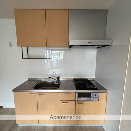 グリーンアベニューＡ[3DK/53.5m2]のキッチン