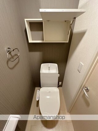 ウッドソレル[2LDK/53.8m2]のトイレ