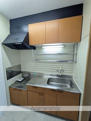 ビューテラス大谷[2LDK/56m2]のキッチン