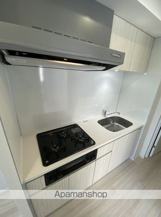 ＲＥＬＵＸＩＡ墨田八広[2DK/41.35m2]のキッチン