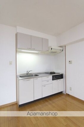 アリスト・ビバ・ルネッサンス[1LDK/43.2m2]のキッチン