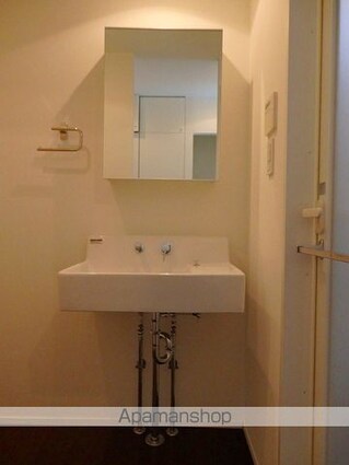 カスタリア市ヶ谷[1K/30.4m2]の洗面所