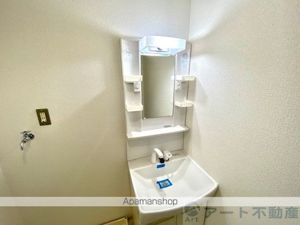 プロヴァンス安城寺Ⅱ[2DK/45.36m2]の洗面所