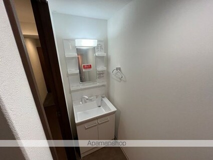 愛媛県松山市竹原２丁目[2LDK/45.94m2]の洗面所