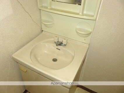 ハイツ山恵[2DK/52m2]の洗面所