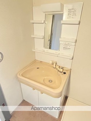 メゾンロワイヤル松田[1R/28.53m2]の洗面所