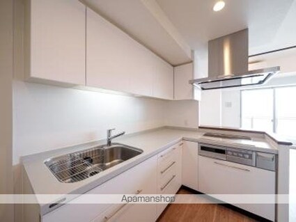 プライムアーバン新宿夏目坂タワーレジデンス[1DK/49.28m2]のキッチン