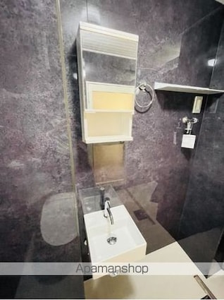 東京都新宿区富久町[1K/25.2m2]の洗面所