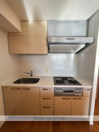 東京都杉並区堀ノ内１丁目[2LDK/52.39m2]のキッチン