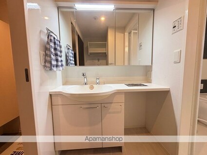 Ｓｅｊｏｕｒ　Ｌｕｃｅ[1LDK/44.71m2]の洗面所