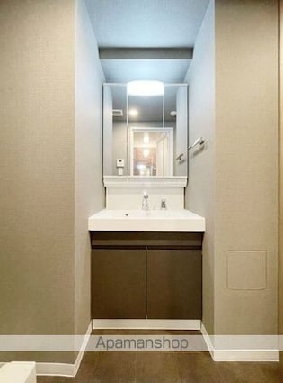 ＳーＲＥＳＩＤＥＮＣＥ板橋大山ｂｒｉｍ[1SLDK/47.5m2]の洗面所