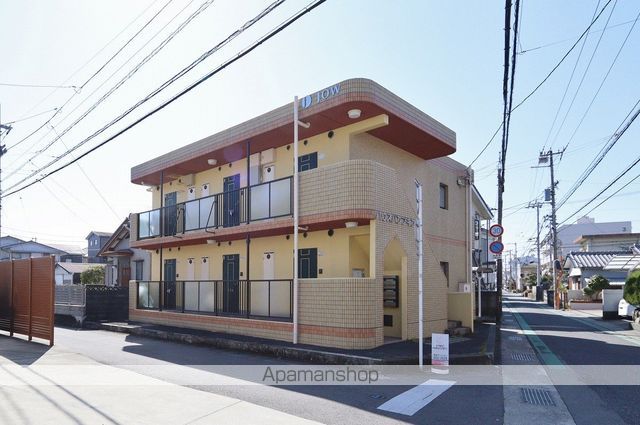 ハウスパンプキン